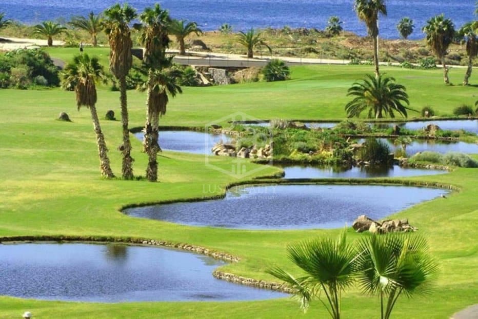 Empresa para venda em Adeje com piscina - 3 200 000 € (Ref: 9945007)