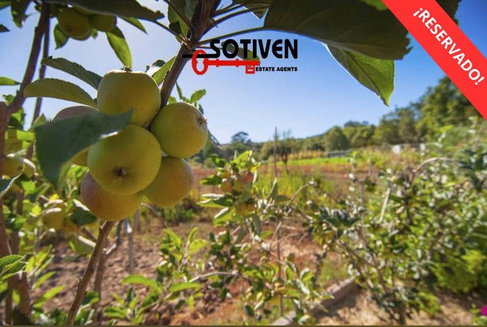 10 soveværelse Finca/Landehus til salg i Tacoronte - € 2.150.000 (Ref: 10135761)