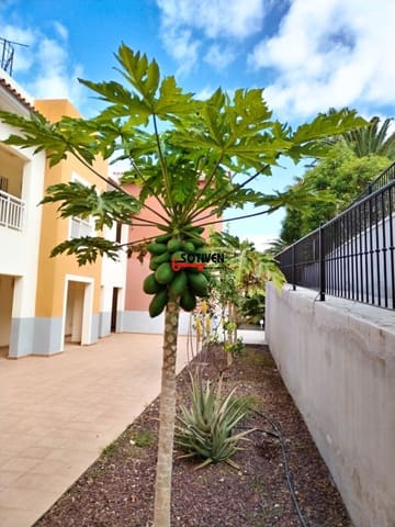 2 bedroom Apartment for rent in Adeje - € 1,300 (Ref: 9406307)