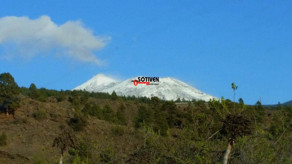 3 slaapkamer Finca/Landhuis te koop in Alcala - € 1.090.000 (Ref: 9690302)