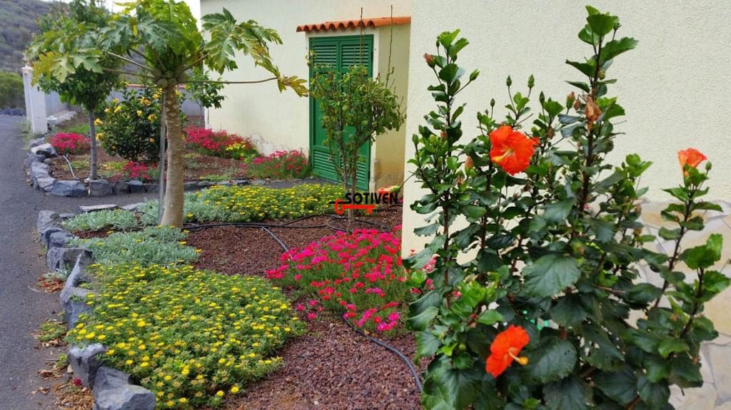 3 slaapkamer Finca/Landhuis te koop in Alcala - € 1.090.000 (Ref: 9690302)