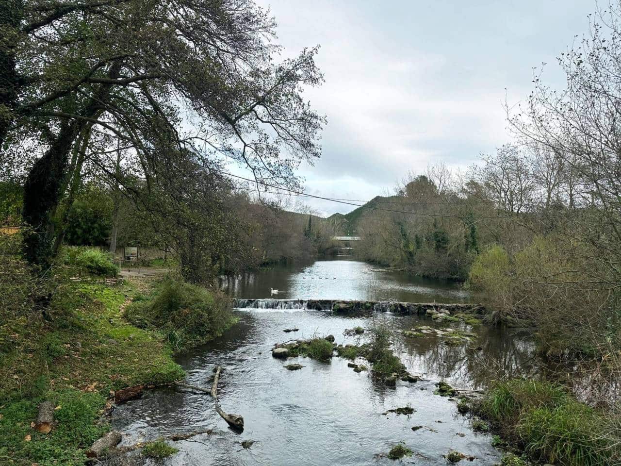 3 sypialnia Finka/Dom wiejski na sprzedaż w Boadella d'Emporda - 325 000 € (Ref: 8788891)