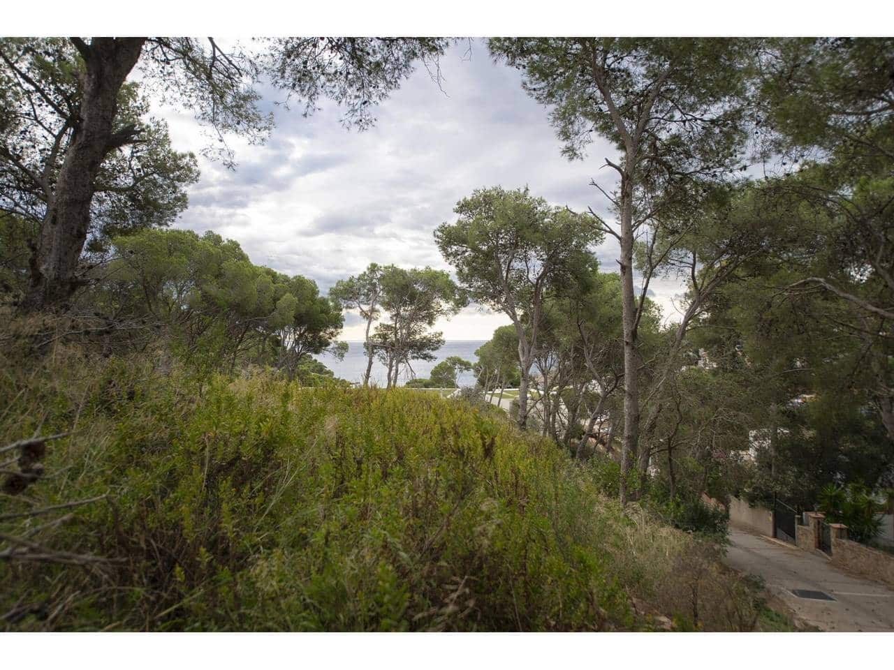 1 Zimmer Wohnung zu verkaufen in Palafrugell - 170.000 € (Ref: 9382269)