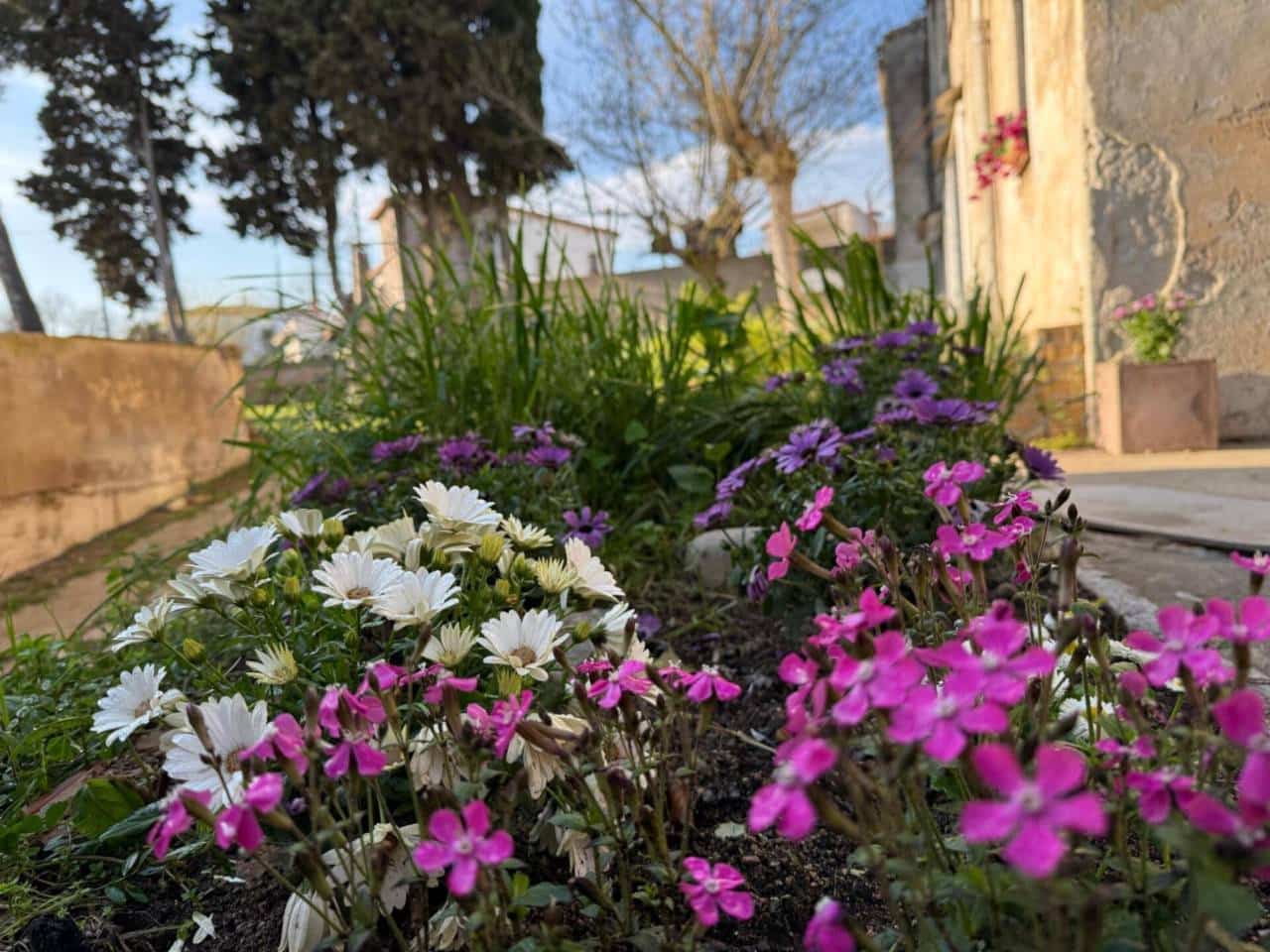 12 slaapkamer Bedrijf te koop in Sant Feliu de Guixols - € 1.200.000 (Ref: 9540660)