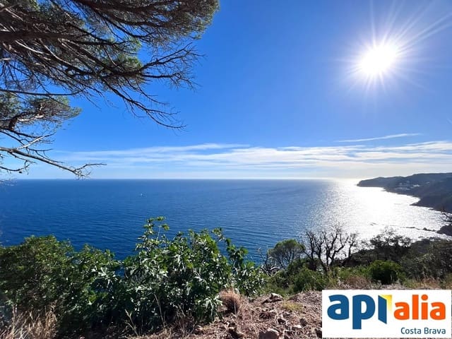 Solar/Parcela en Blanes en venta - 79.000 € (Ref: 9985735)