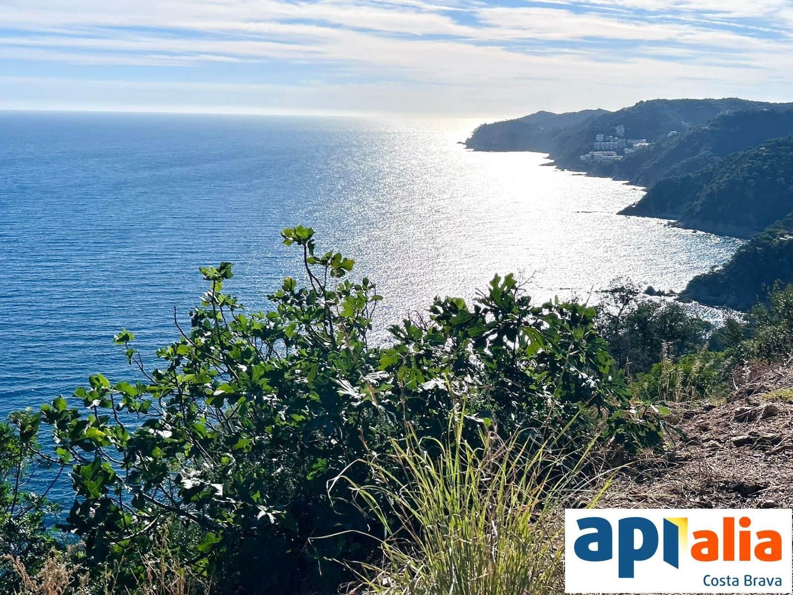 Solar/Parcela en Blanes en venta - 79.000 € (Ref: 9985735)