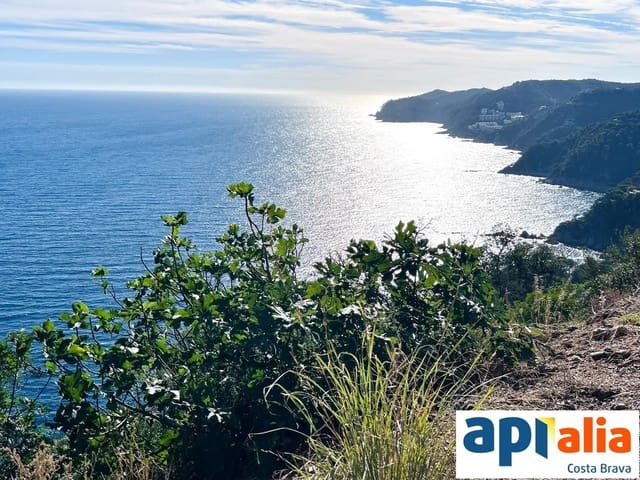 Solar/Parcela en Blanes en venta - 79.000 € (Ref: 9985735)