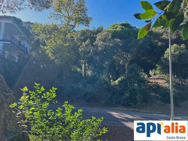 Solar/Parcela en Blanes en venta - 79.000 € (Ref: 9985735)