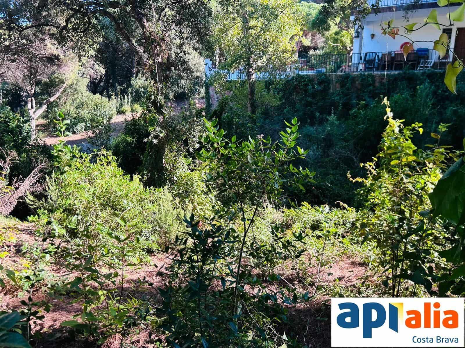 Solar/Parcela en Blanes en venta - 79.000 € (Ref: 9985735)