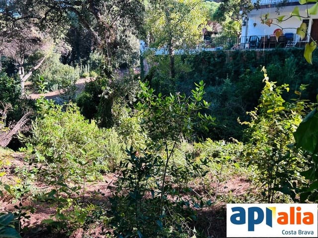 Solar/Parcela en Blanes en venta - 79.000 € (Ref: 9985735)