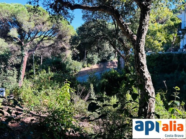 Solar/Parcela en Blanes en venta - 79.000 € (Ref: 9985735)