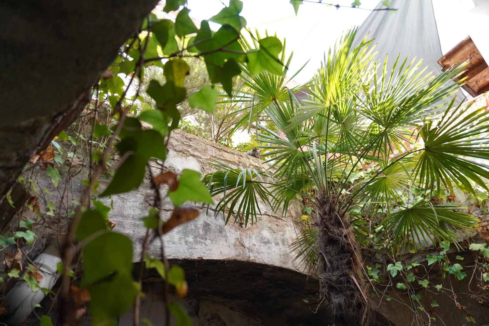 6 soveværelse Byhus til salg i Torroella de Montgri med garage - € 290.000 (Ref: 8475552)