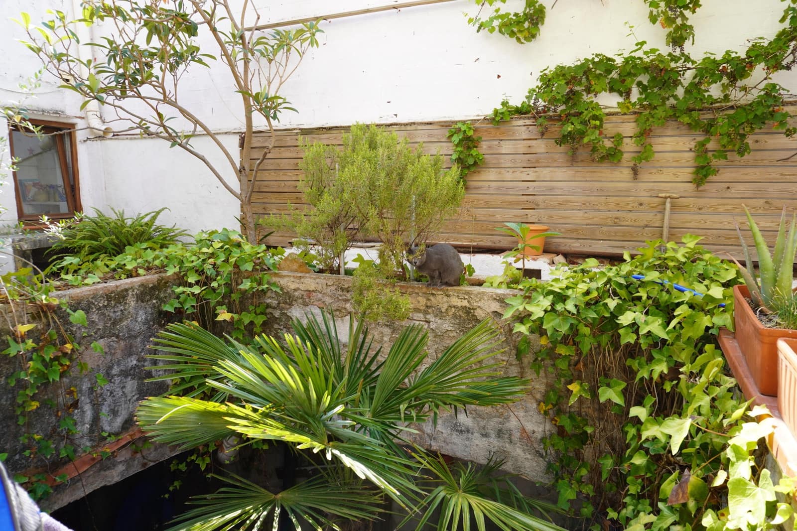 6 soveværelse Byhus til salg i Torroella de Montgri med garage - € 290.000 (Ref: 8475552)