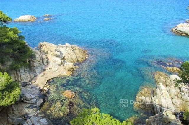 5 slaapkamer Appartement te koop in Calonge i Sant Antoni met zwembad garage - € 975.000 (Ref: 8093847)