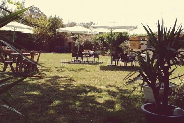 14 soveværelse Villa til salg i Santa Cristina d'Aro - € 1.800.000 (Ref: 9294554)