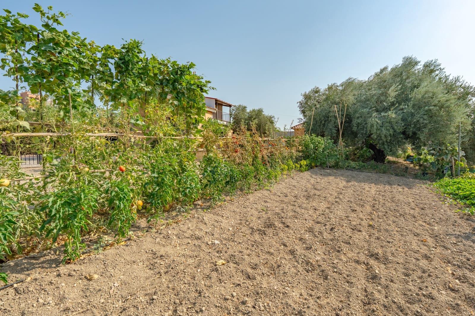 3 soverom Finca/Herregård til salgs i Coin med svømmebasseng garasje - € 545 000 (Ref: 10041439)