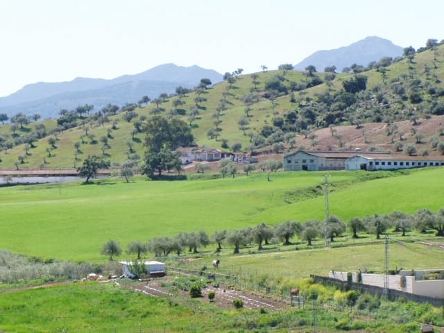 Byggegrund til salg i Coín - € 32.154.602 (Ref: 7122479)