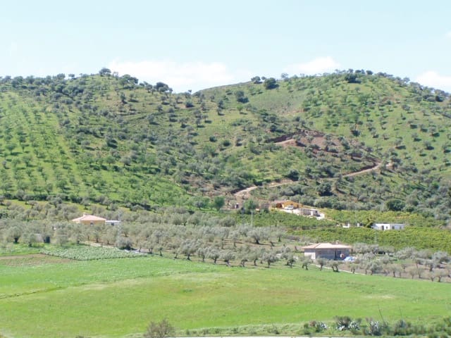 Byggegrund til salg i Coín - € 32.154.602 (Ref: 7122479)