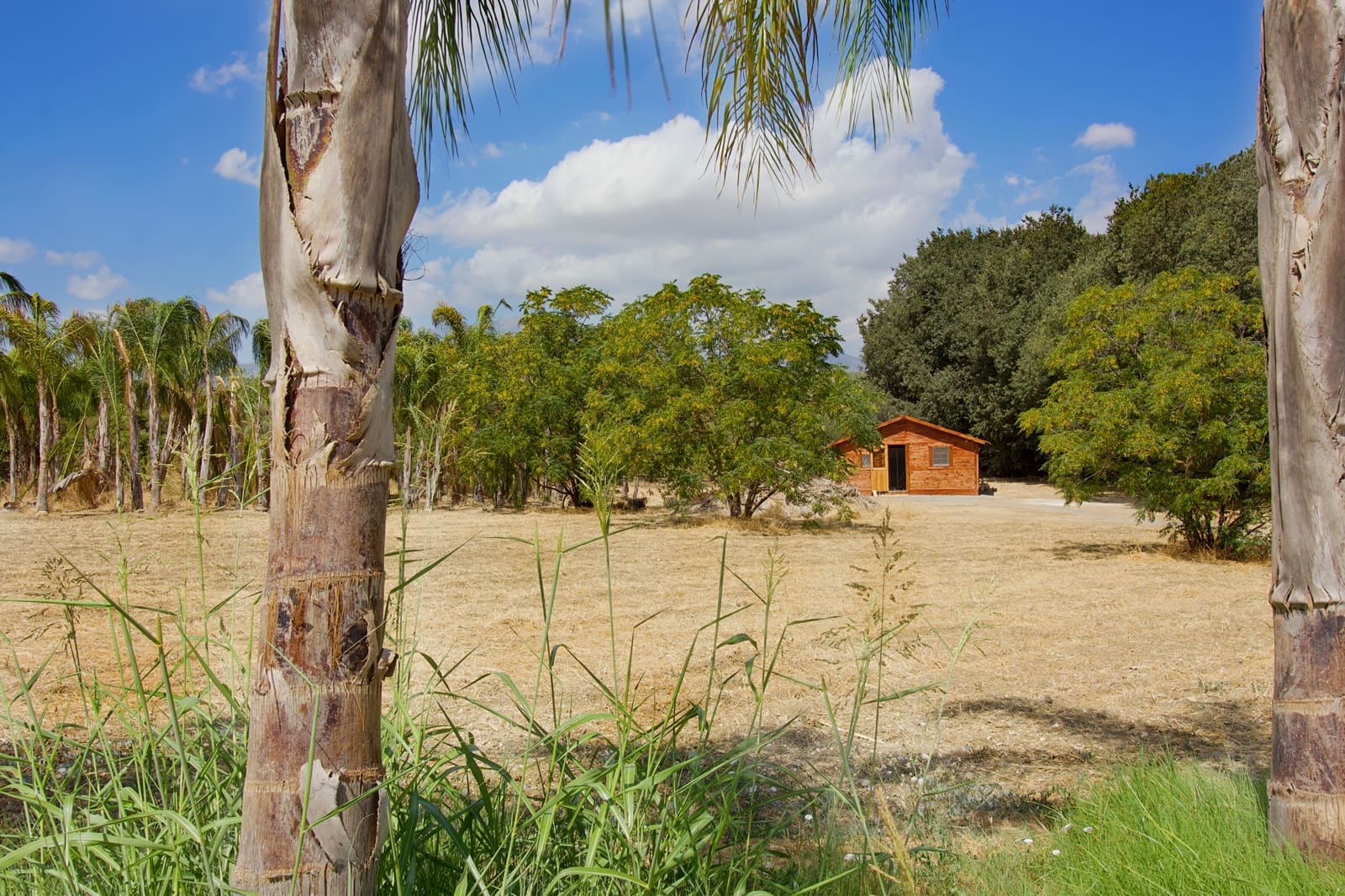 6 soveværelse Finca/Landehus til salg i Coin med swimmingpool garage - € 749.000 (Ref: 8501120)