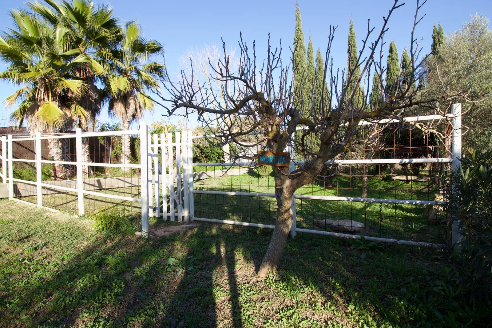 3 quarto Quinta/Casa Rural para venda em Cartama com piscina - 549 000 € (Ref: 8792968)