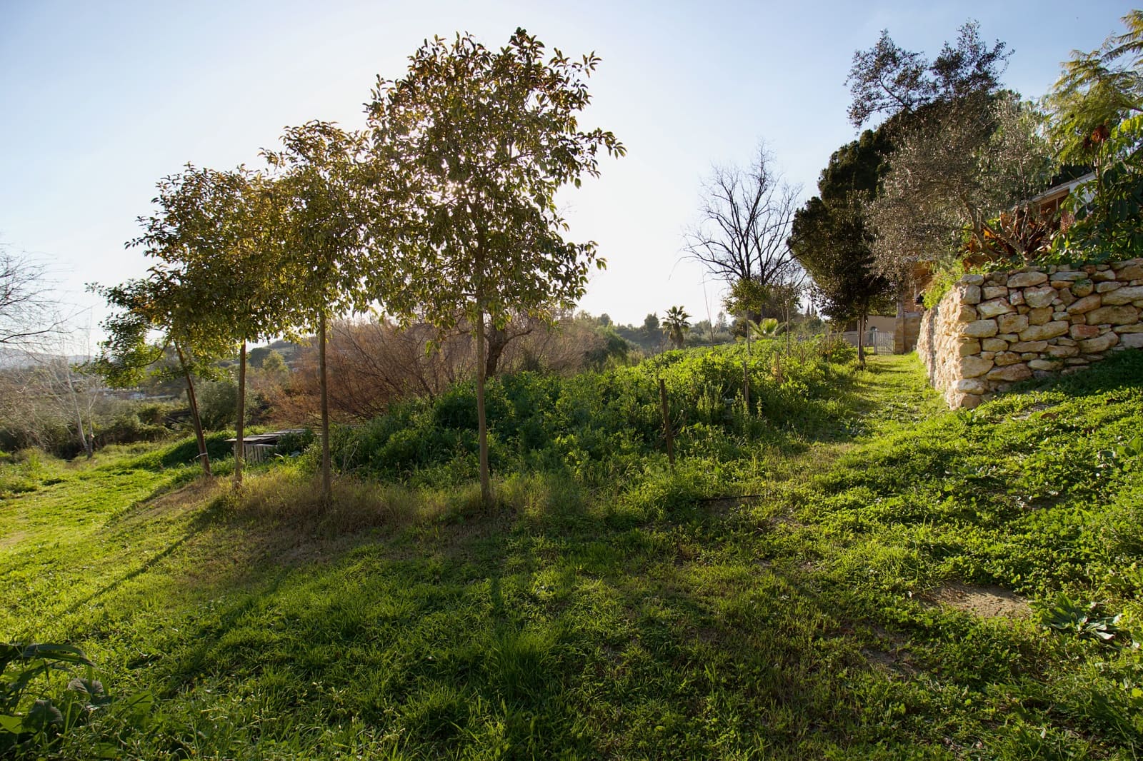 3 quarto Quinta/Casa Rural para venda em Cartama com piscina - 549 000 € (Ref: 8792968)