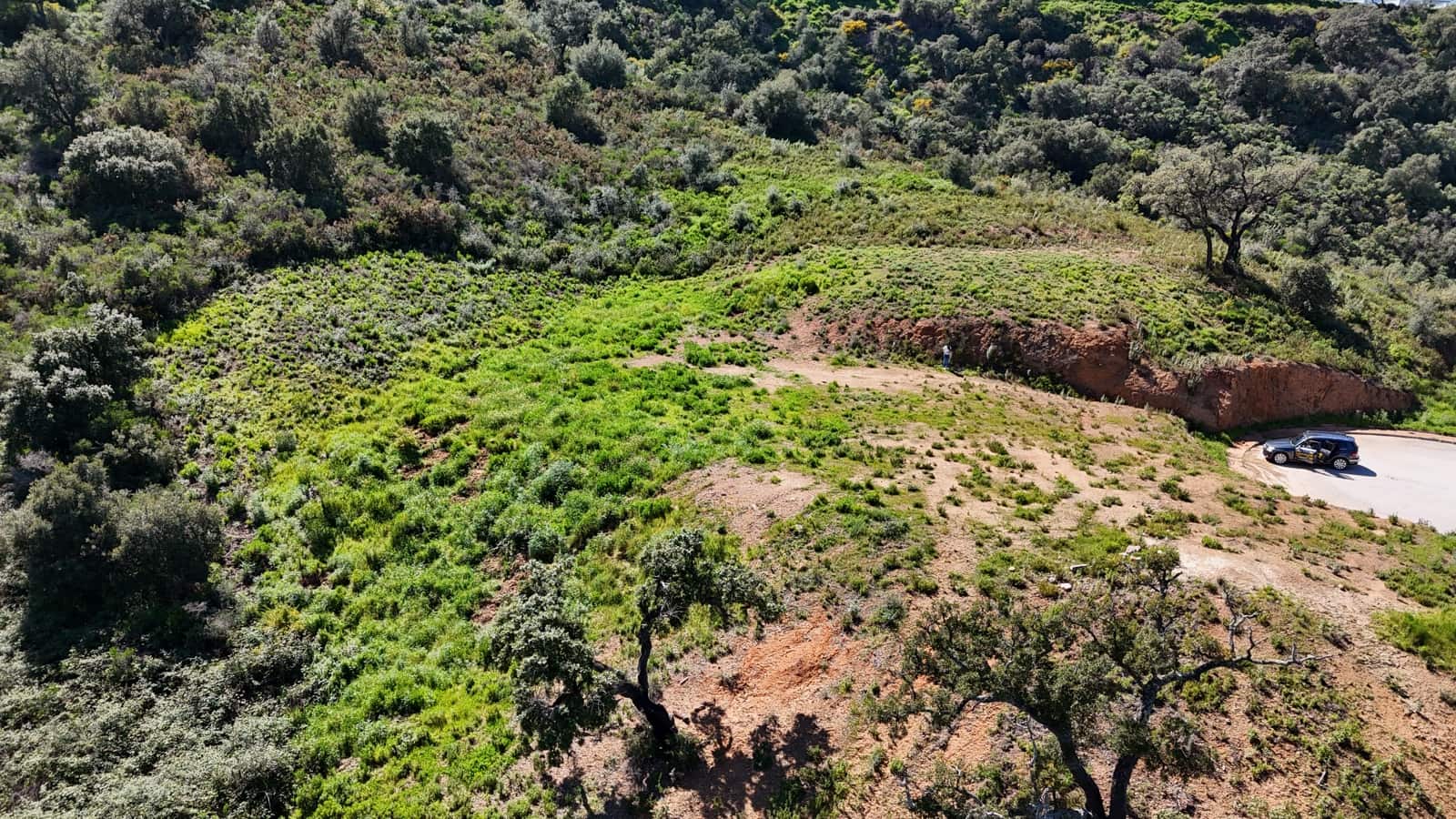 Teren niezagospodarowany na sprzedaż w Ojen - 6 448 800 € (Ref: 8913639)