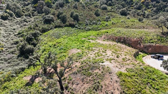 Mark till salu i Ojen - 6 448 800 € (Ref: 8913639)