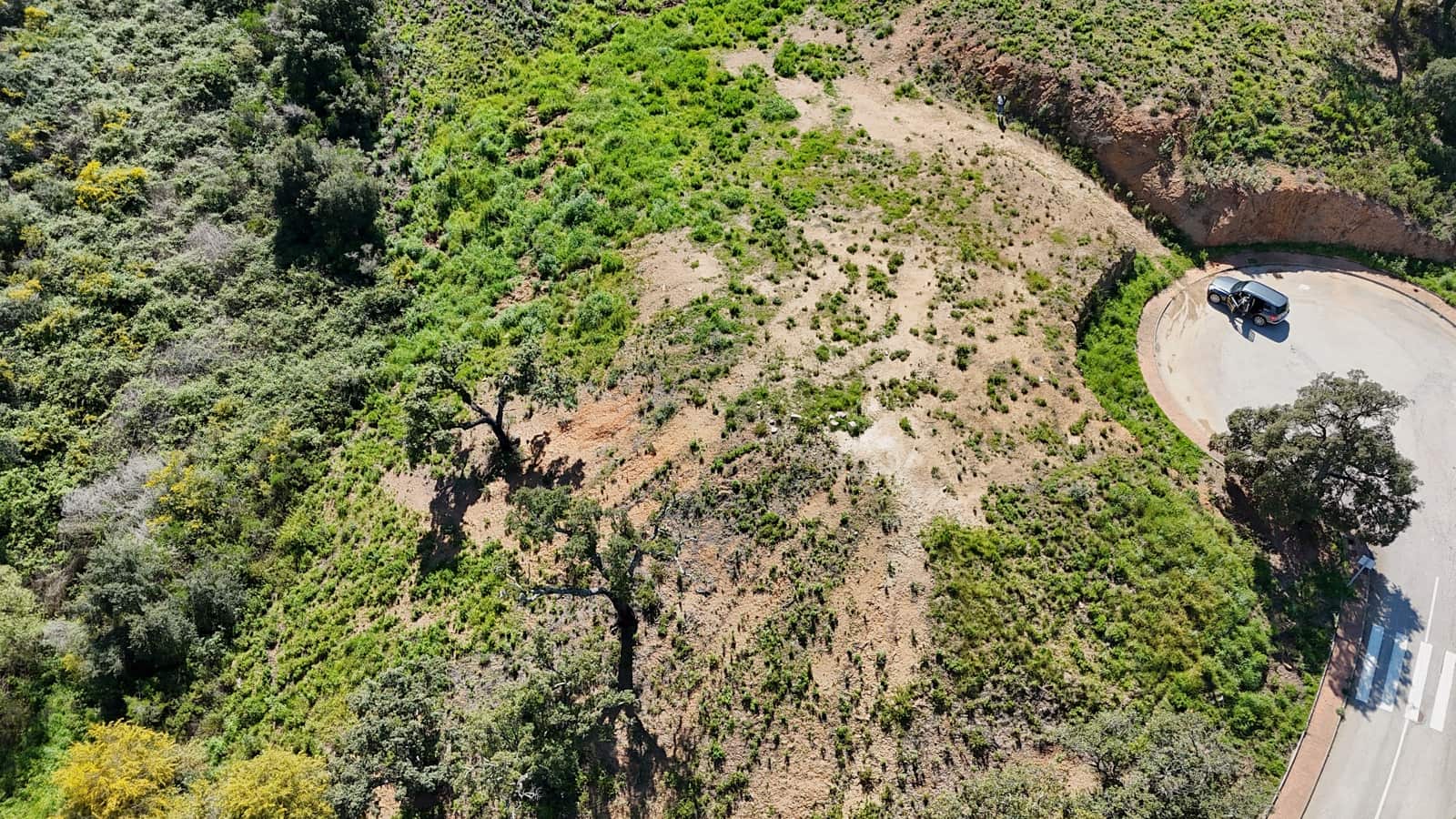 Teren niezagospodarowany na sprzedaż w Ojen - 6 448 800 € (Ref: 8913639)