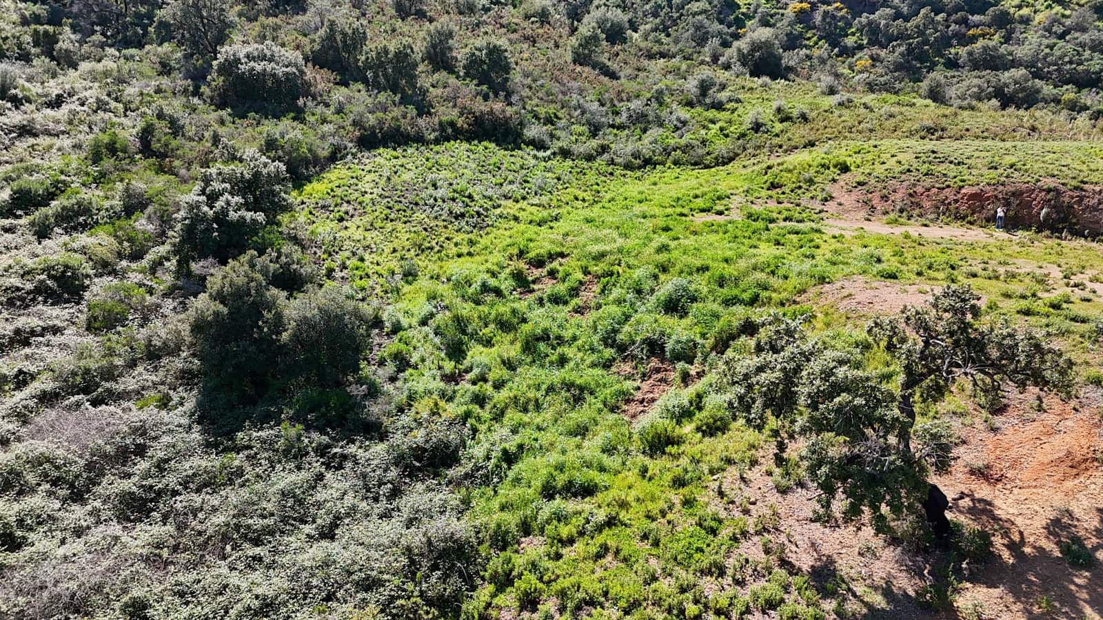 Teren niezagospodarowany na sprzedaż w Ojen - 6 448 800 € (Ref: 8913639)