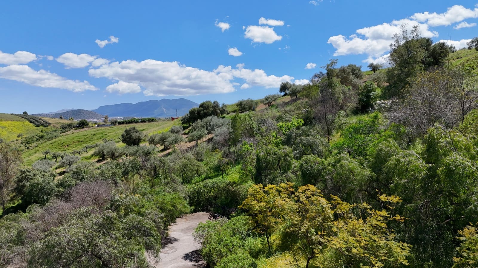 4 soveværelse Finca/Landehus til salg i Coin med swimmingpool - € 449.000 (Ref: 8941774)