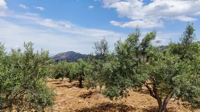 4 soveværelse Finca/Landehus til salg i Guaro - € 395.000 (Ref: 8989653)