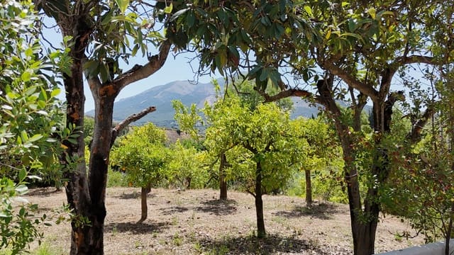 3 bedroom Finca/Country House for sale in Alhaurín el Grande with pool garage - € 649,000 (Ref: 9072609)