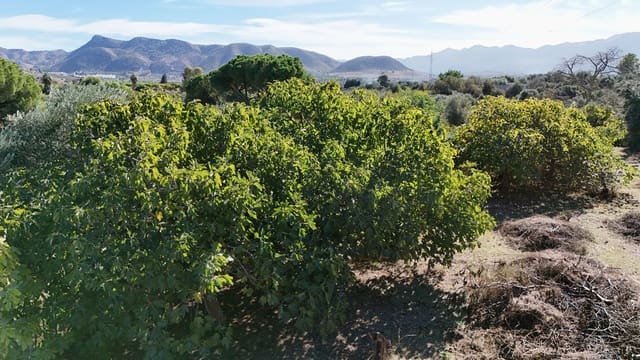 4 bedroom Finca/Country House for sale in Cártama with pool - € 342,000 (Ref: 9373881)