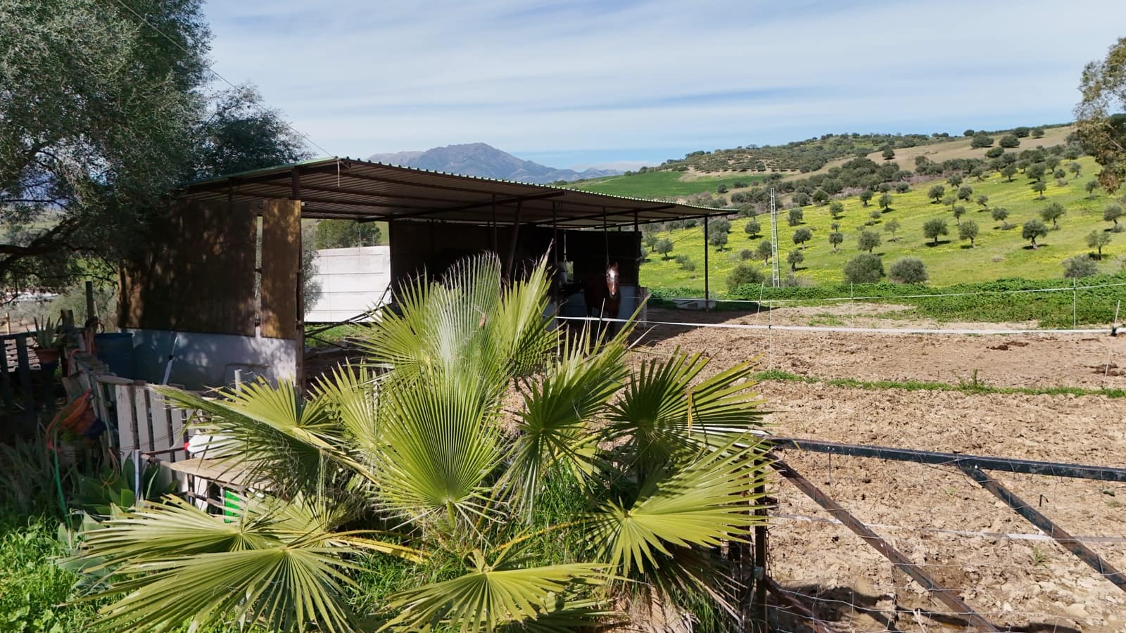 5 makuuhuone Maalaistalo myytävänä paikassa Coin - 185 000 € (Ref: 9611952)