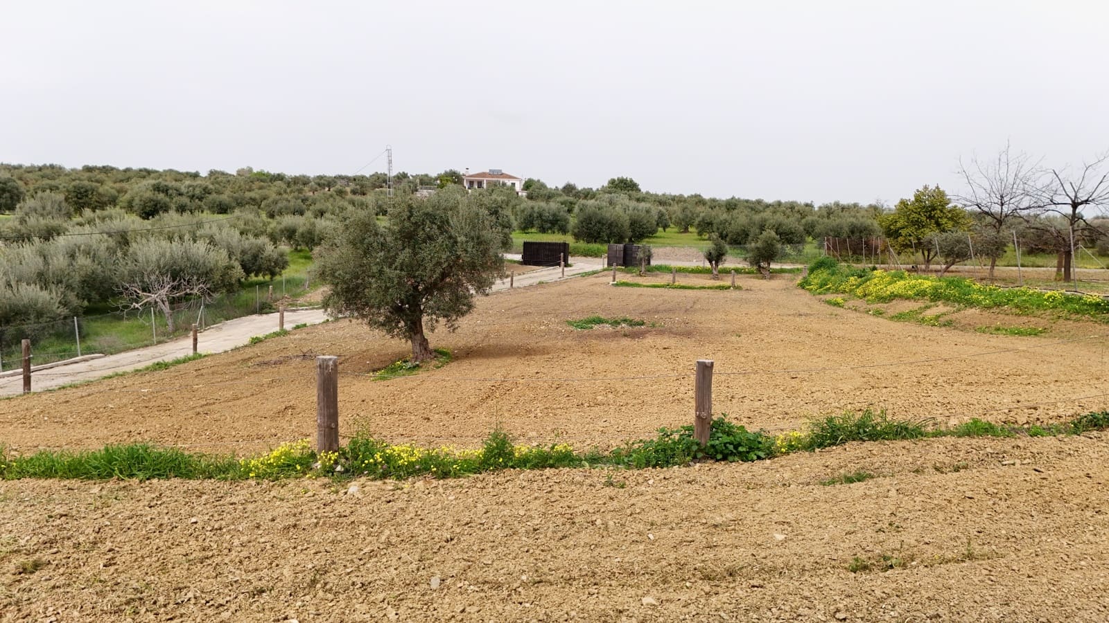 2 sypialnia Finka/Dom wiejski do wynajęcia w Coin z basenem - 1 700 € (Ref: 9645470)