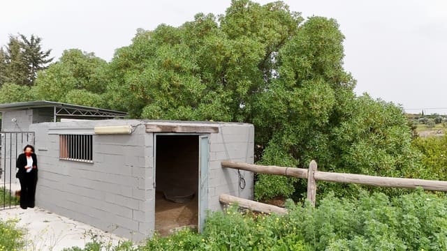 2 makuuhuone Maalaistalo vuokrattavana paikassa Coín mukana uima-altaan - 1 700 € (Ref: 9645470)