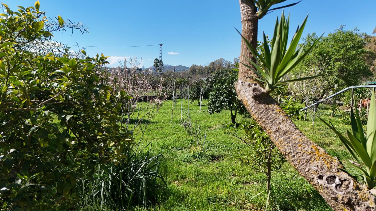 5 sovrum Finca/Hus på landet till salu i Coin med pool garage - 395 000 € (Ref: 9674676)