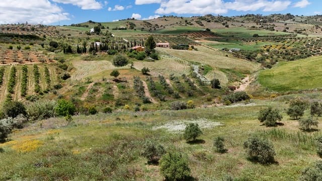 2 slaapkamer Finca/Landhuis te koop in Alora - € 255.000 (Ref: 9816223)