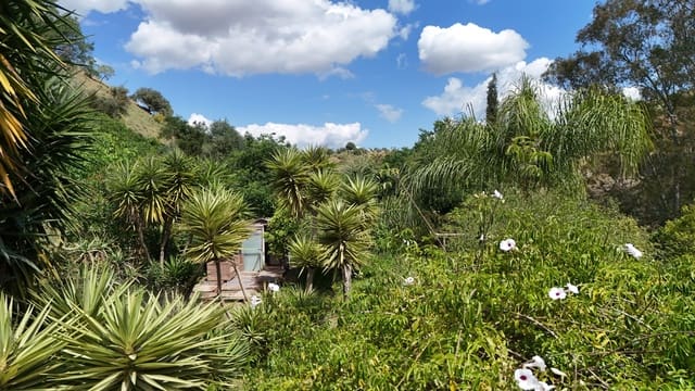 Finca/Casa Rural de 3 habitaciones en Coín en venta con piscina - 425.000 € (Ref: 9823845)