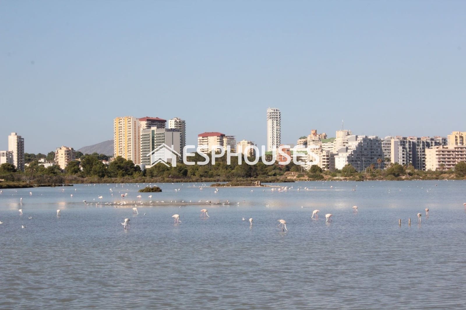 4 bedroom Villa for sale in Calpe / Calp with pool - € 1,850,000 (Ref: 10001317)