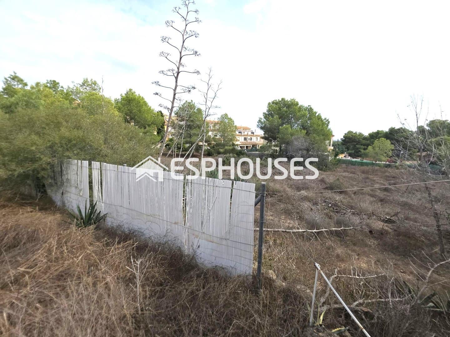 Bauplatz zu verkaufen in Algorfa - 850.000 € (Ref: 10175454)