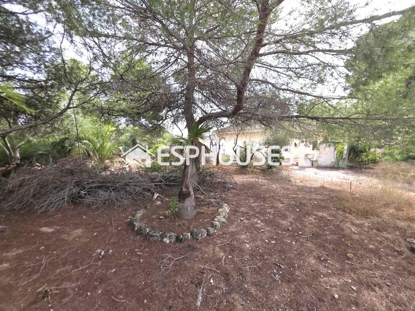 Bauplatz zu verkaufen in Algorfa - 850.000 € (Ref: 10175454)