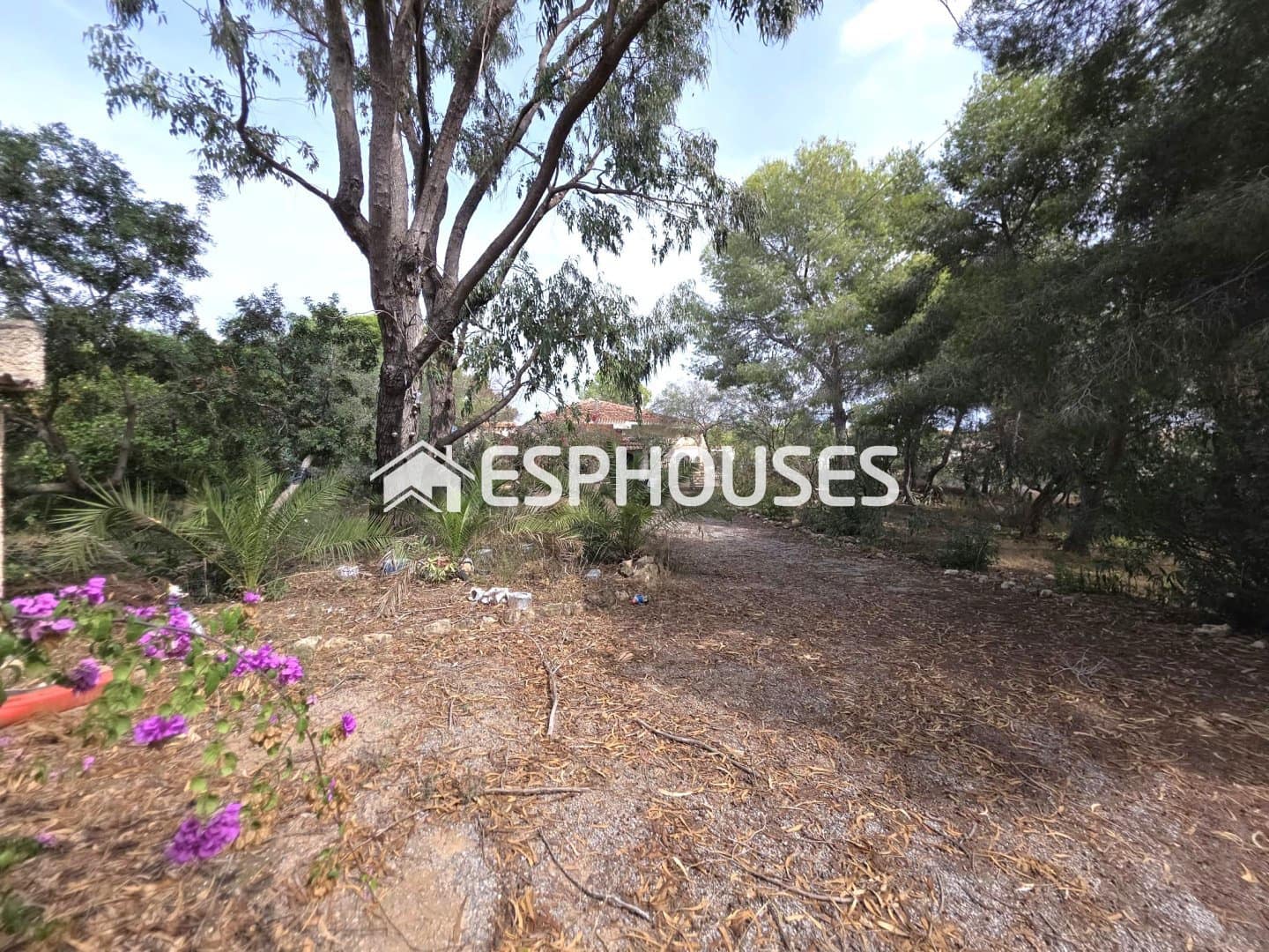 Bauplatz zu verkaufen in Algorfa - 850.000 € (Ref: 10175454)