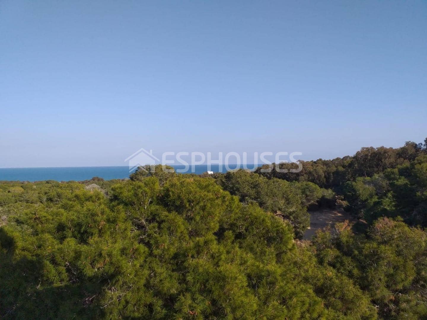 3 chambre Appartement à vendre à Guardamar del Segura avec piscine - 299 000 € (Ref: 5022315)