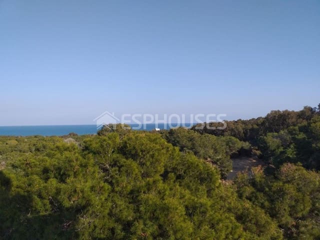 3 sovrum Lägenhet till salu i Zona Pueblo, Guardamar del Segura med pool - 299 000 € (Ref: 5022315)