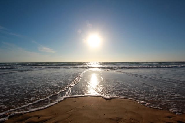 Commercial for sale in Guardamar Playa, Guardamar del Segura - € 995,000 (Ref: 7664953)