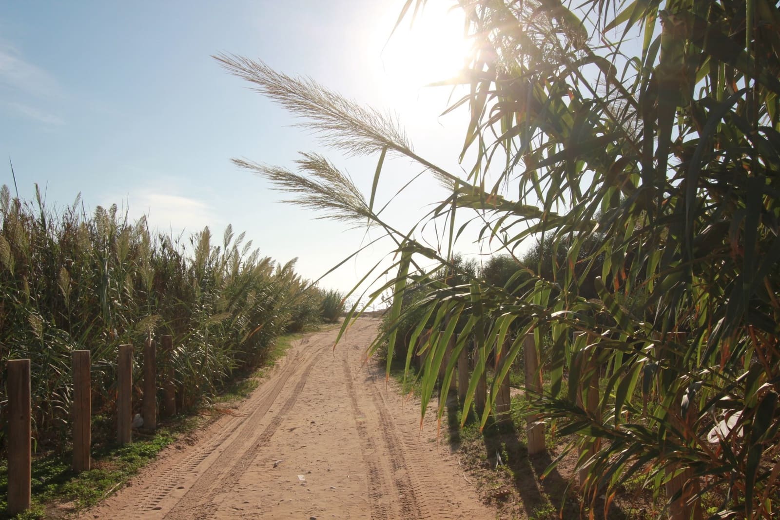 2 chambre Appartement à vendre à Guardamar del Segura avec piscine - 319 500 € (Ref: 7664961)