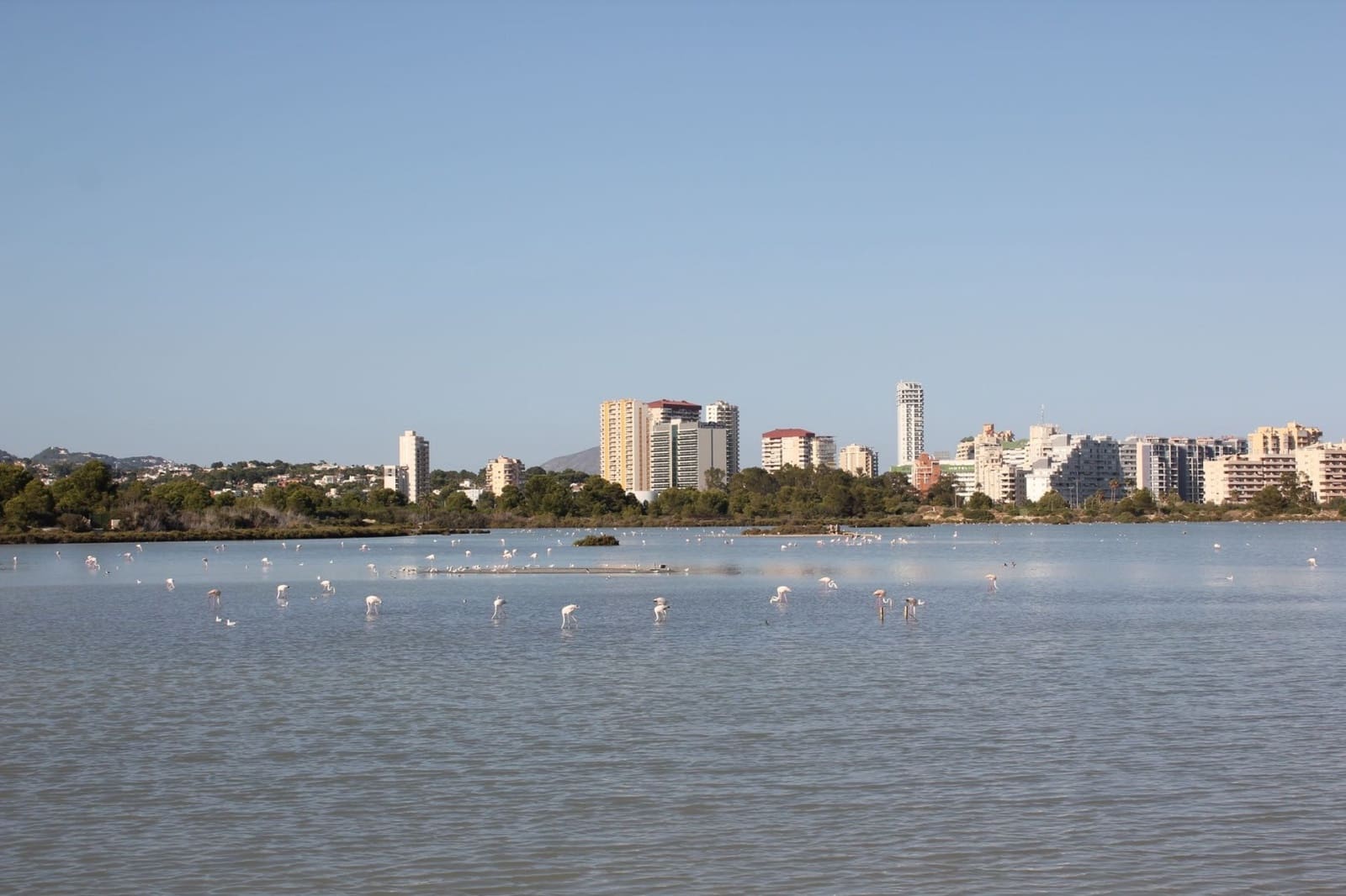 3 soverom Bungalow til salgs i Calpe / Calp med svømmebasseng garasje - € 465 000 (Ref: 8001029)