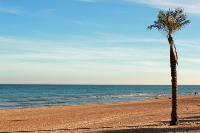 Erhverv til salg i Guardamar Playa, Guardamar del Segura - € 130.000 (Ref: 8367268)