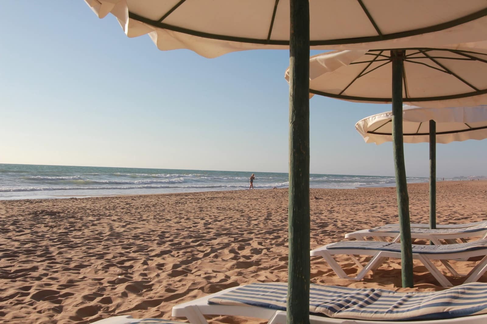 Kommersiell till salu i Guardamar del Segura - 435 000 € (Ref: 9444237)